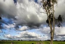 开云体育登录-蓝白风暴席卷绿茵：当世界杯王者碾压俱乐部王朝