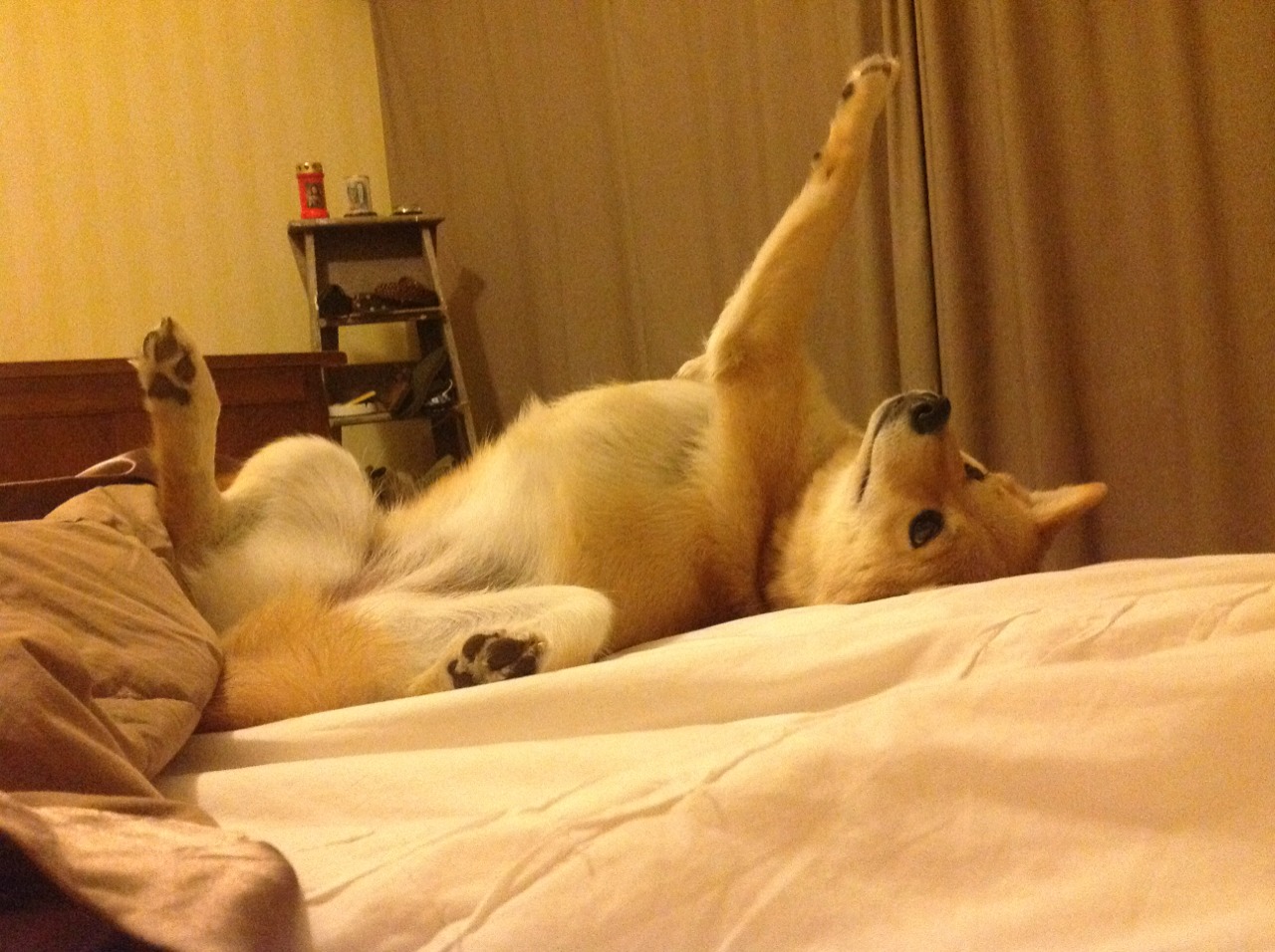 开云体育官网-蓝军遇火山，天使燃烈火，迪马利亚梦幻之夜点燃那不勒斯