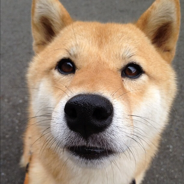 我为你构思了几个具有故事张力与独特视角的标题，并选择其中一个展开成一篇完整的文章