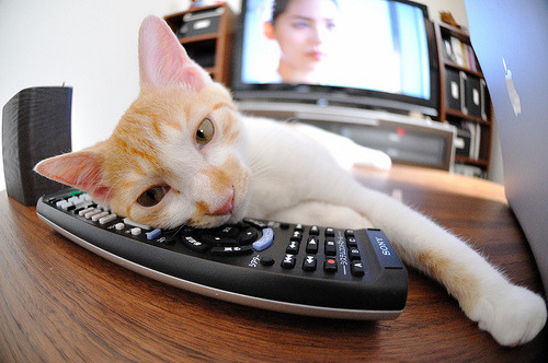 开云体育app-跨界奇迹与未来预言，深圳队绝杀森林狼，库里2026世界杯接管比赛