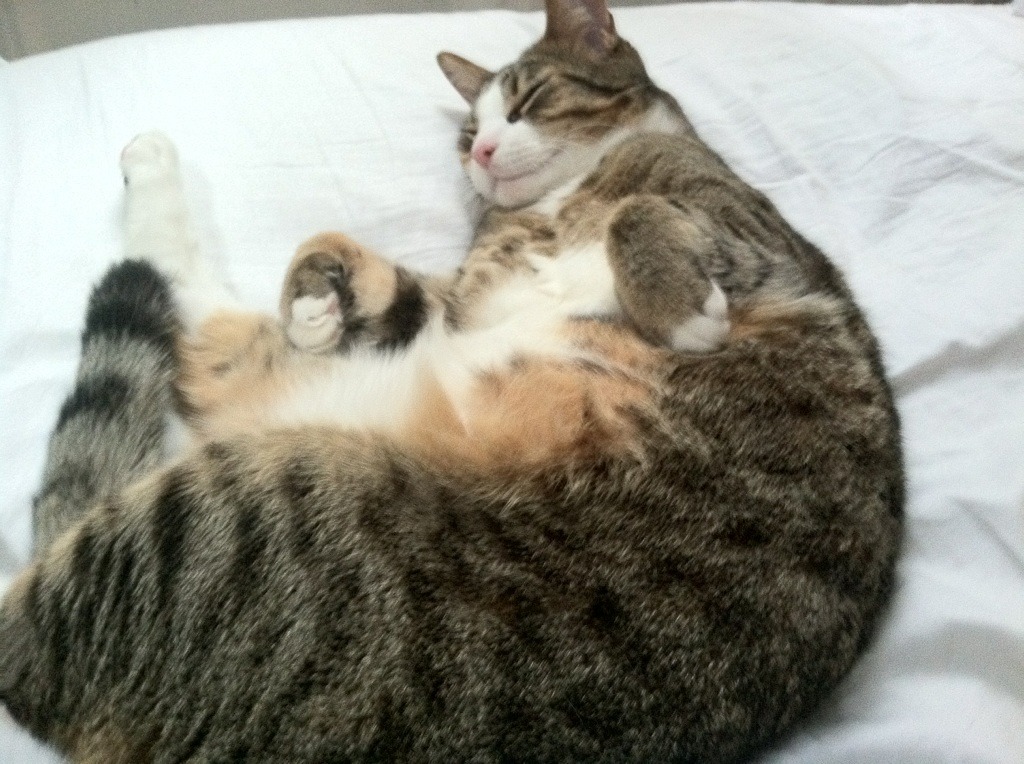 钢铁黄蜂,当恩比德的统治力诠释新时代的翻盘艺术