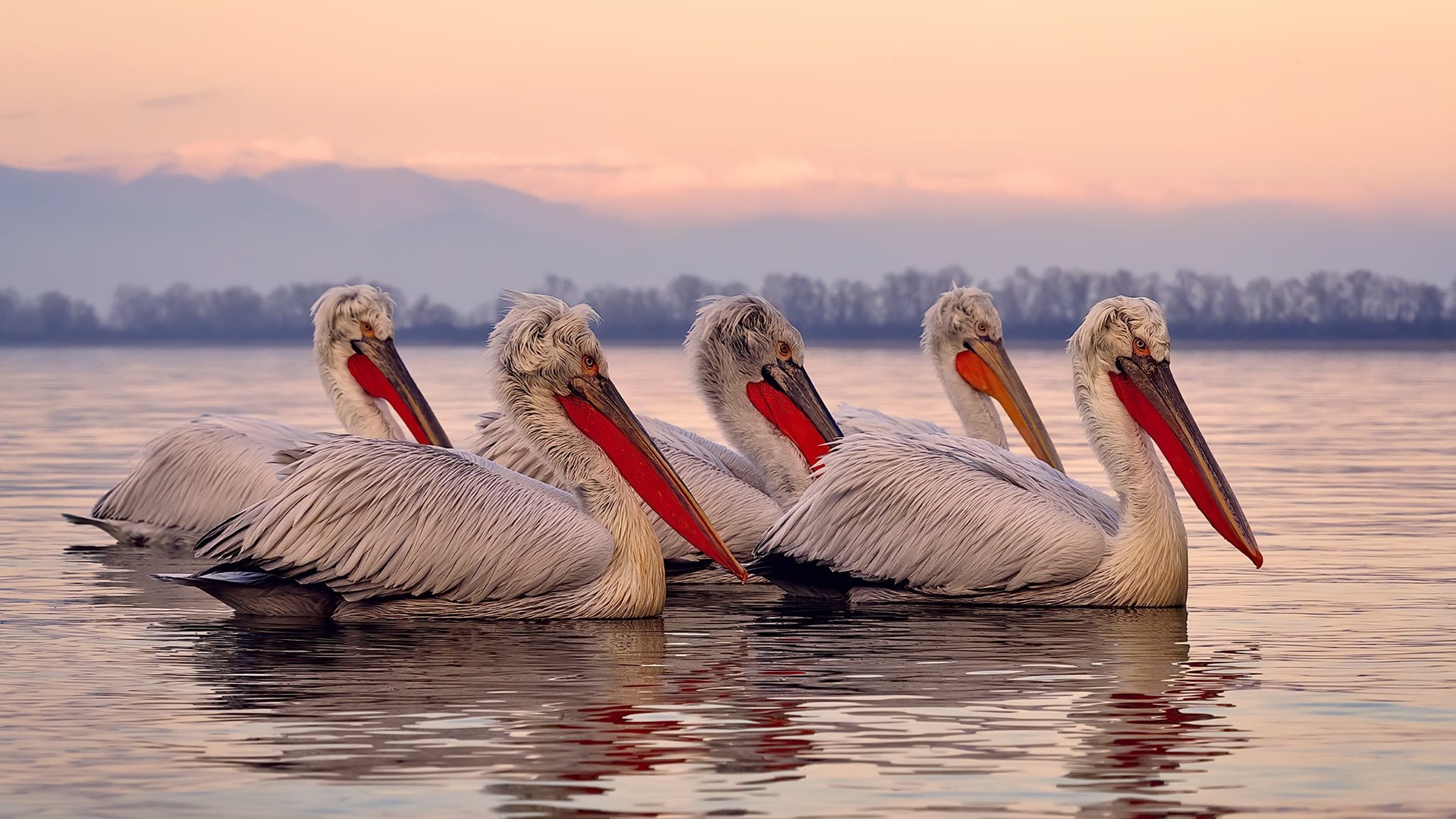 孙兴慜终场绝杀！马赛欧冠奇迹险胜莱比锡红牛，亚洲巨星再证关键先生本色