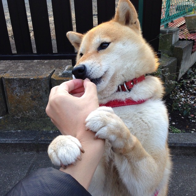 开云体育app-表演赛中的真实较量，利拉德末节19分击碎悬念