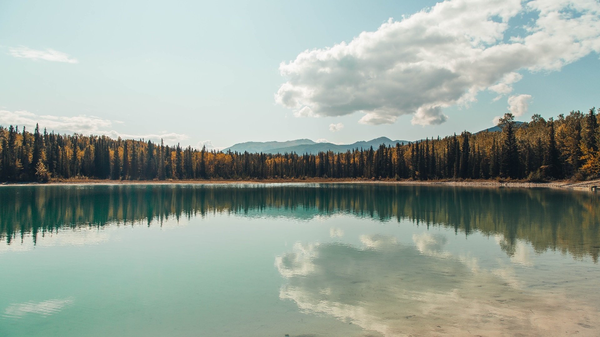 表演赛中的真实较量，利拉德末节19分击碎悬念