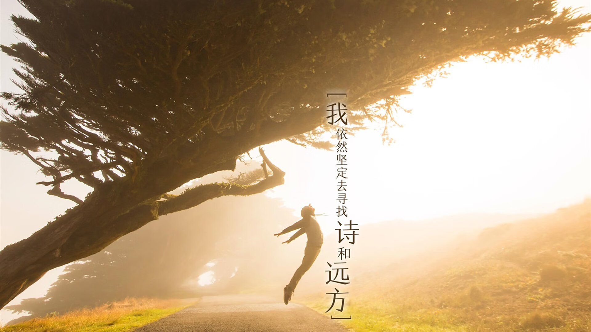 直布罗陀炮台与新月盾牌，一场战术史诗中的西式围城