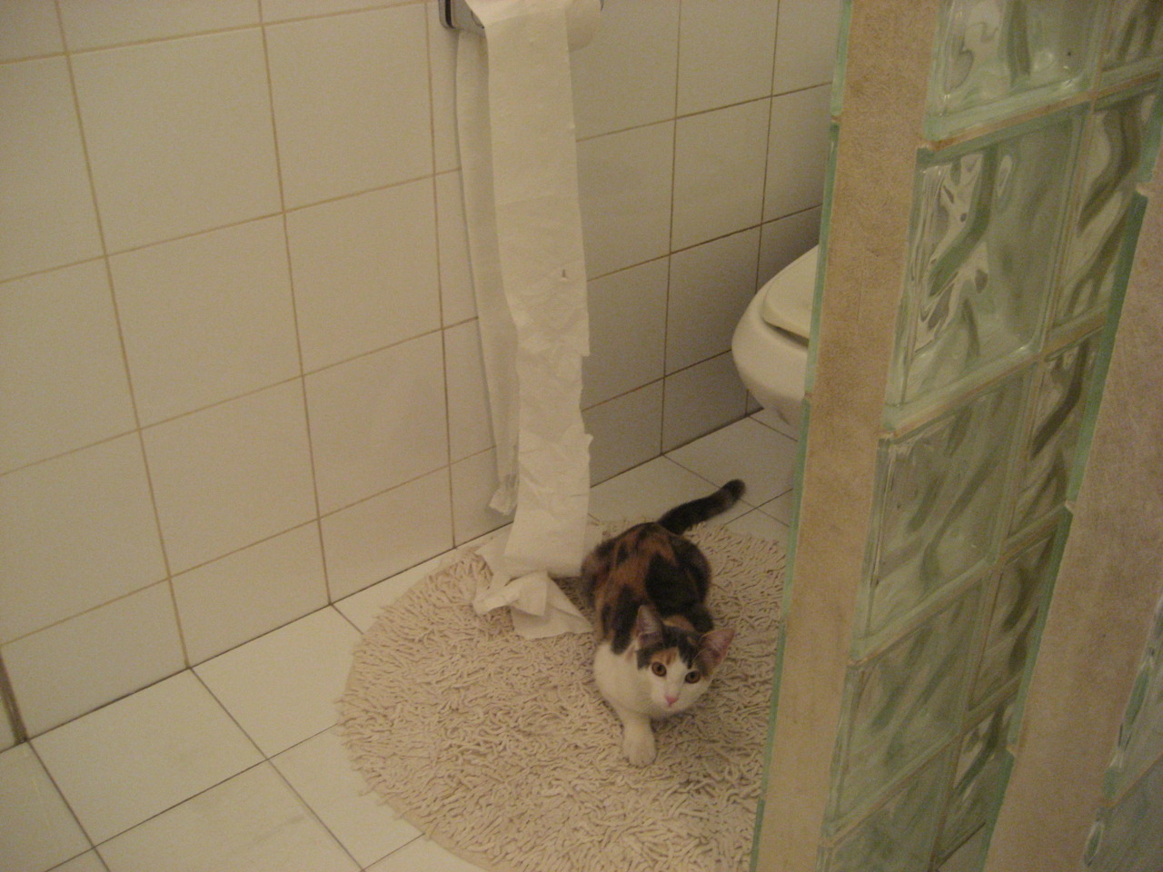 开云体育APP下载-当暴力美学遇见现代篮球，塔图姆如何用一场比赛重新定义个人能力